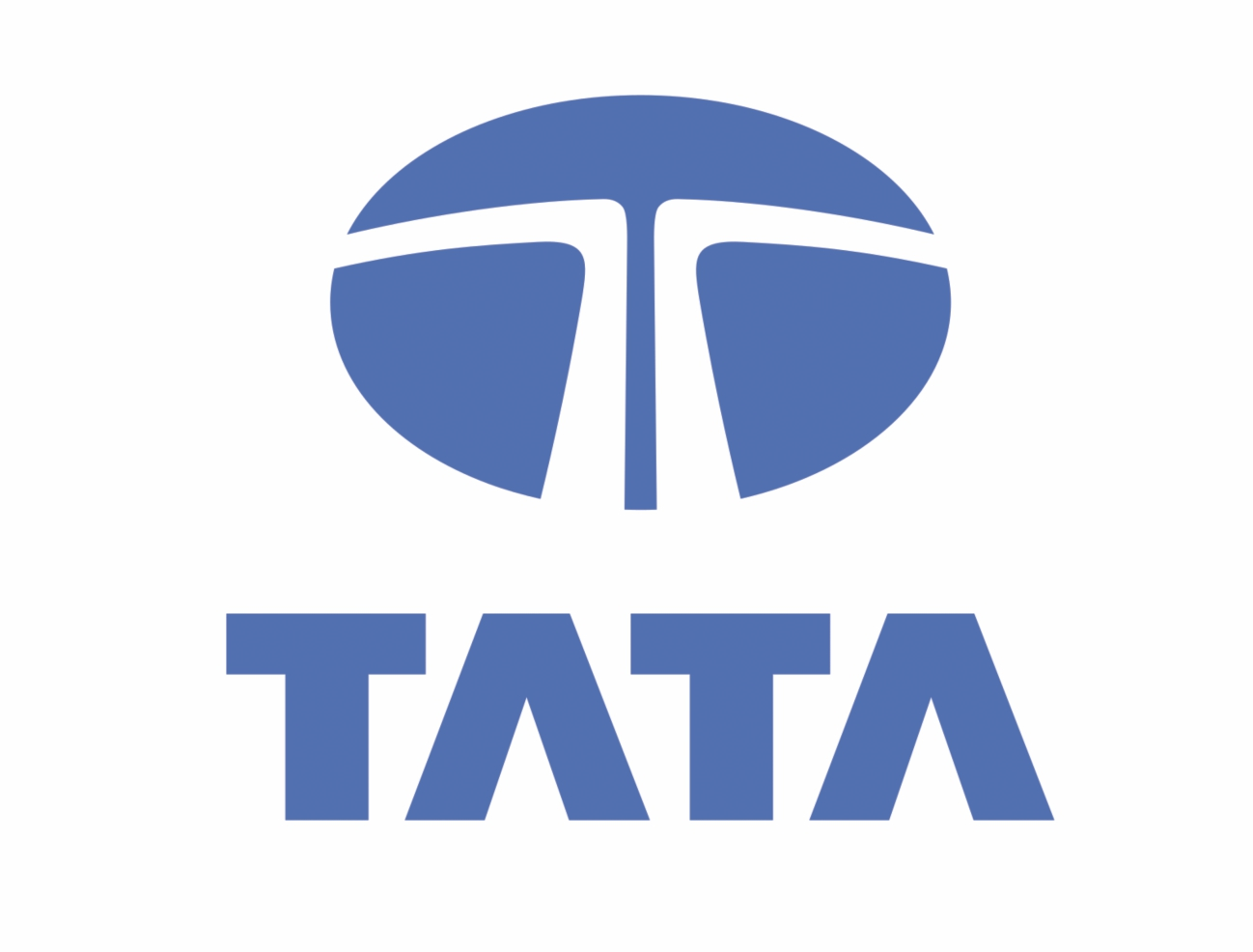 Tata Group Logo